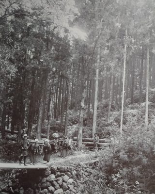 吉野林業
