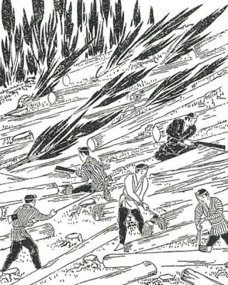 吉野林業
